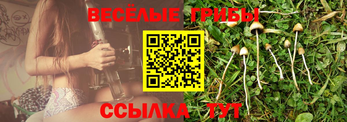 Псилоцибиновые грибы MAGIC MUSHROOMS  Галлюциногенные грибы Cubensis  Вход с VPN  Лиски 